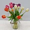 tulips for sale in bulk